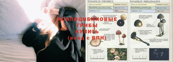 трава Пролетарск