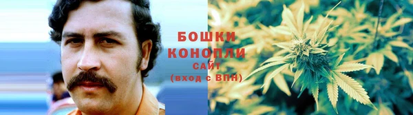 крисы Балахна